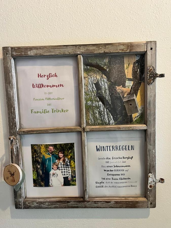 Pension Mitterwallner Schladming Extérieur photo